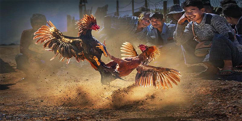 hotlive đăng nhập roulette số 1