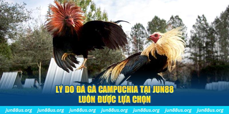 hotlive tài xỉu nổ hũ là gì