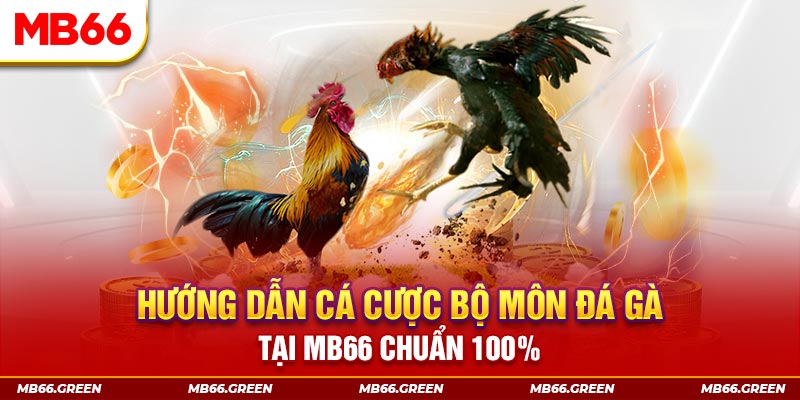 hotlive xổ số bình định
