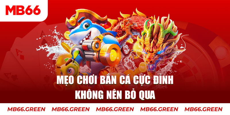 hotlive casino ở đâu