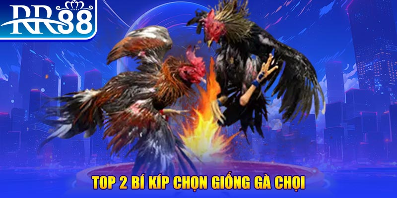 hotlive đăng nhập roulette dễ thắng