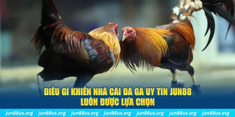 hotlive qq88 nổ hũ bắn cá