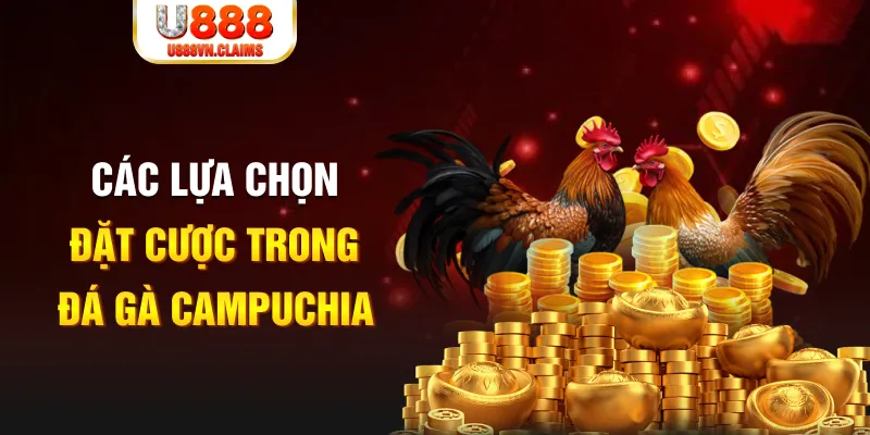 hotlive SW Xổ Số