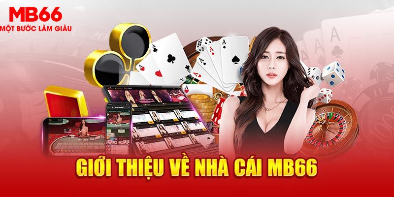 hotlive what is the best online casino for real money
