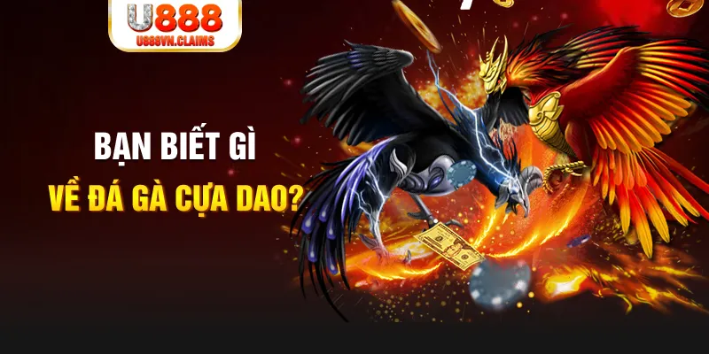 hotlive xổ số kiến thiết
