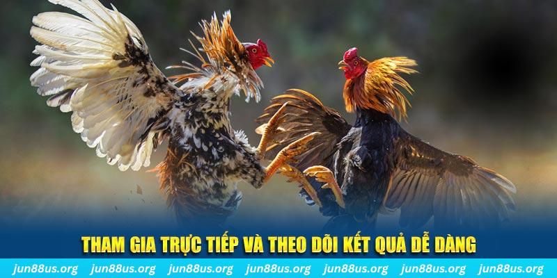 hotlive đá gà trực tiếp bình luận viên