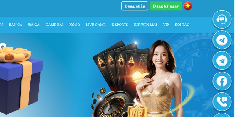 hotlive slot là gì dịch