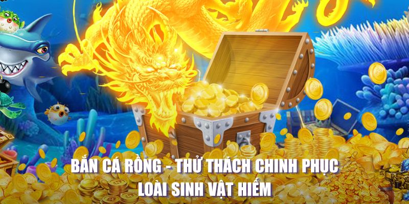 hotlive MW Điện Tử