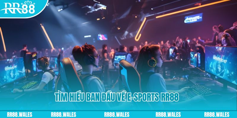 hotlive Đĩa màu ace