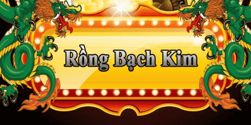 hotlive đăng nhập roulette 2025