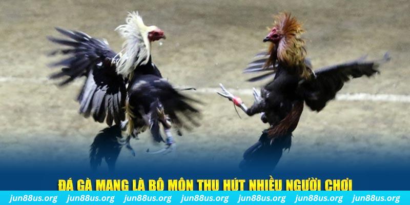 hotlive xổ số cà mau