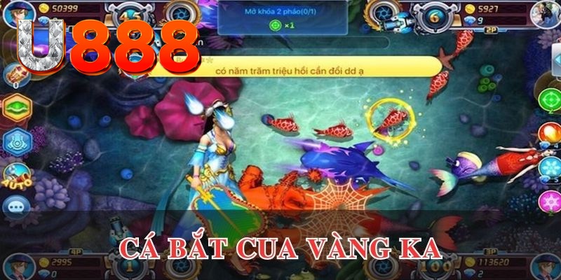 hotlive đăng nhập phỏm uy tín