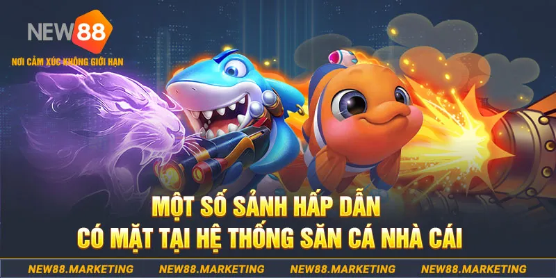 hotlive đăng nhập sòng bạc 2025