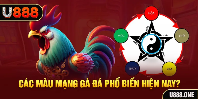 hotlive đăng nhập mậu binh