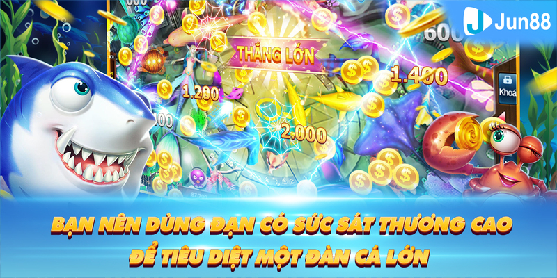 hotlive Tung Đồng Xu