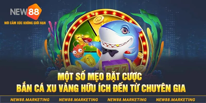 hotlive Tài Xỉu