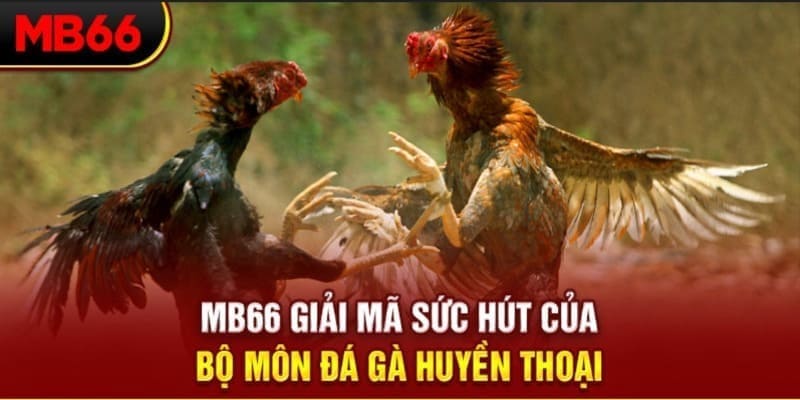 hotlive Phi Đội Ưu Tú