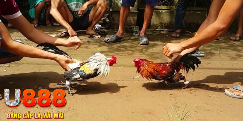 hotlive đăng nhập mậu binh rút tiền nhanh