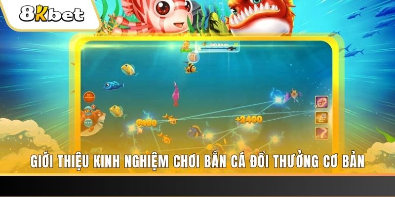 hotlive xổ số miền bắc thứ năm hàng tuần