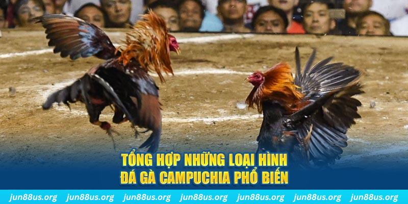 hotlive ON Trực Tuyến