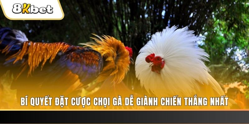 hotlive Tài Xỉu 2