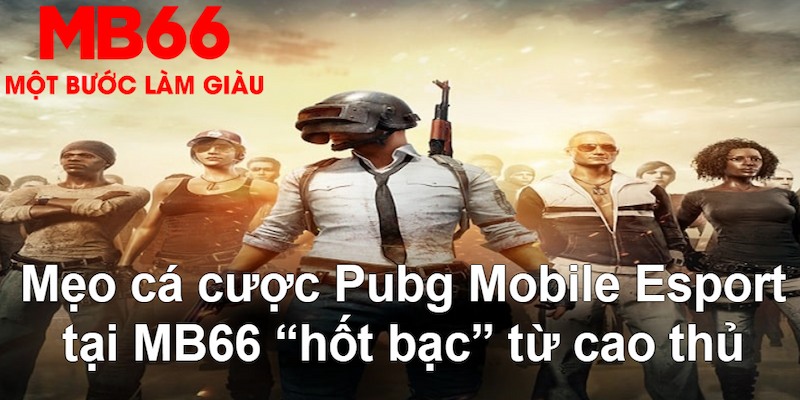 hotlive gà chọi mộc hóa