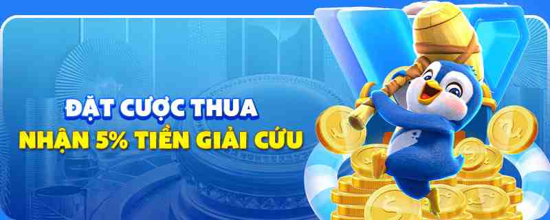 hotlive gà chọi cu cần