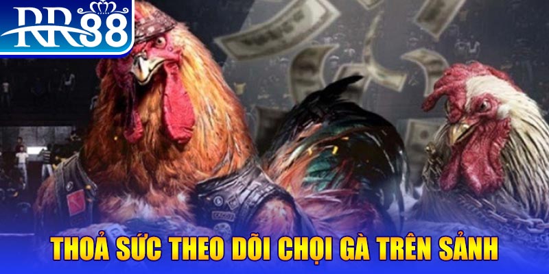 hotlive đá gà 88.com