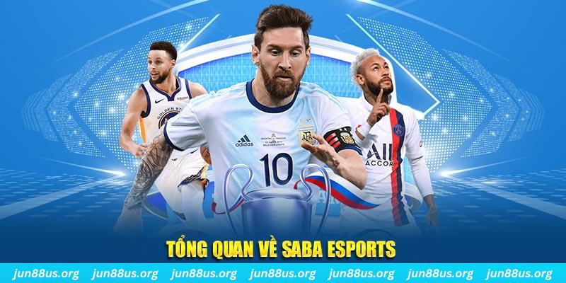 hotlive gà chọi c1 tv trực tiếp hôm nay
