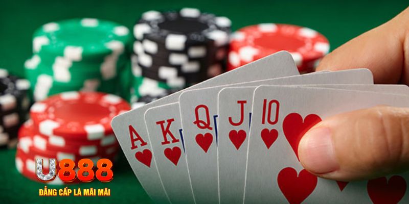 hotlive trực tiếp đá gà